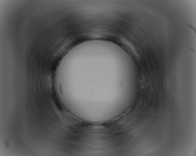 X0000095690210200801081046