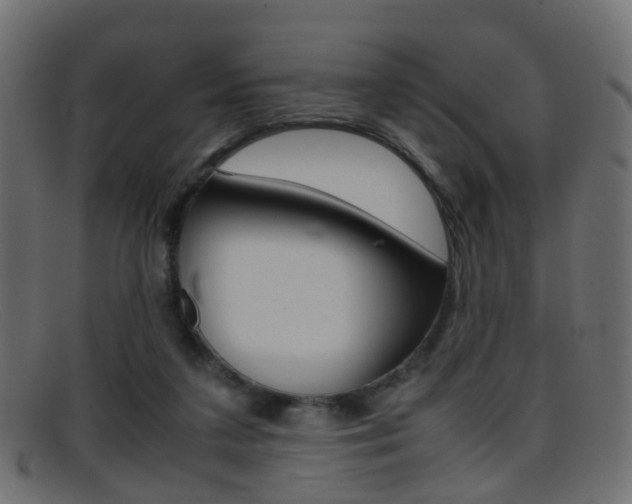 X0000095690211200801081046