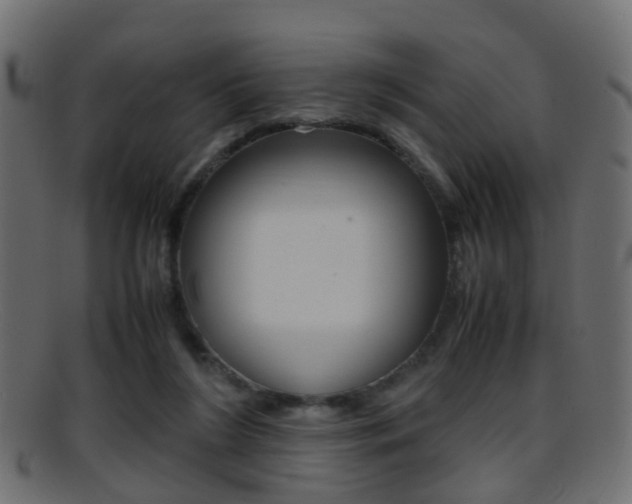 X0000095690212200801081046