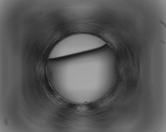 X0000095690214200801081046
