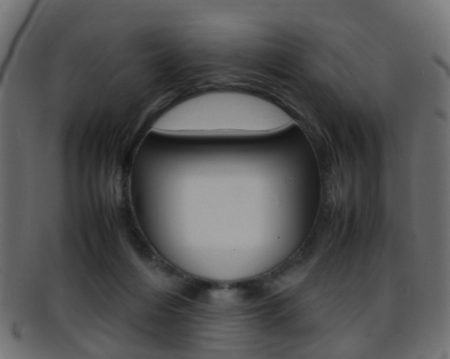 X0000095690216200801081046