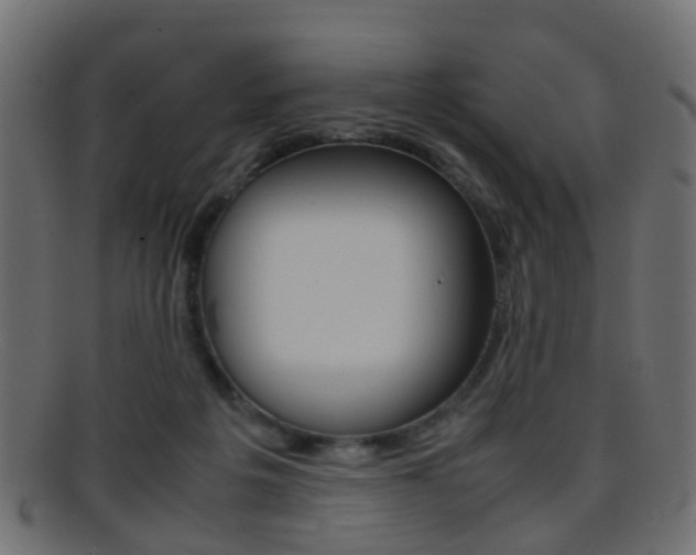 X0000095690217200801081046