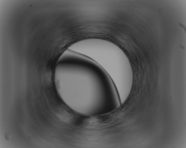 X0000095690219200801081046