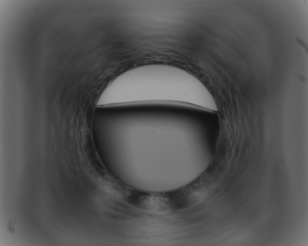 X0000095690223200801081045