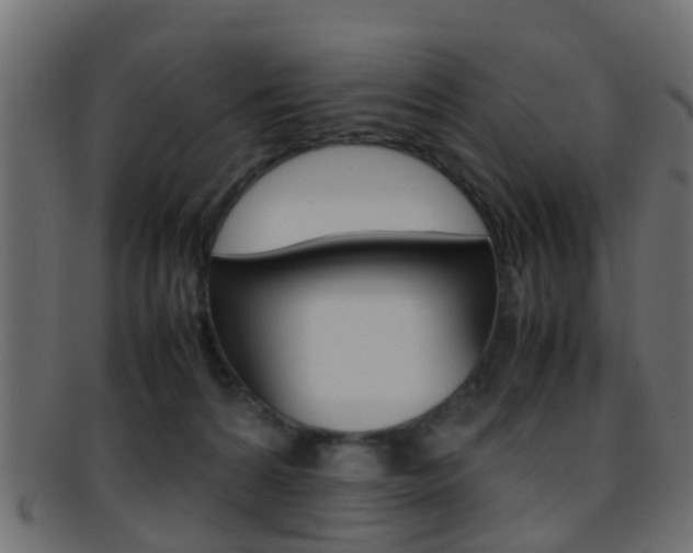 X0000095690224200801081045