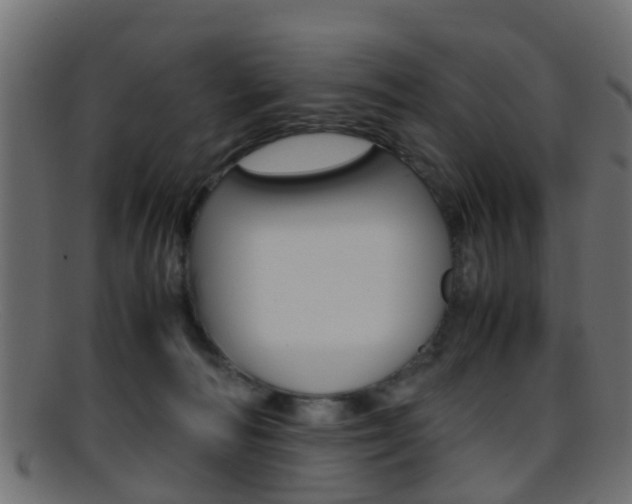 X0000095690226200801081045