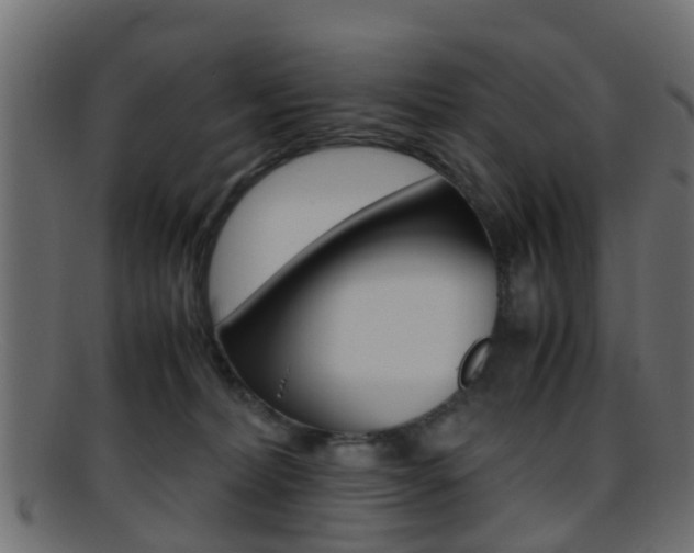 X0000095690228200801081045