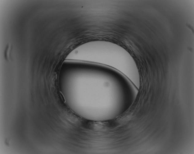 X0000095690229200801081045