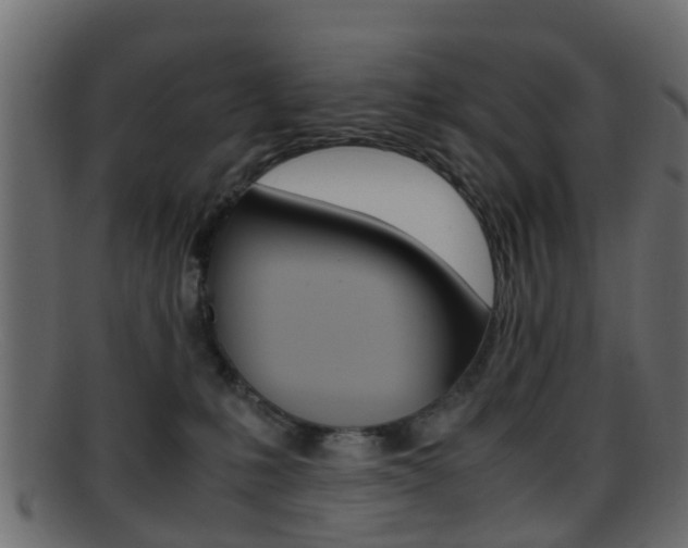 X0000095690231200801081045