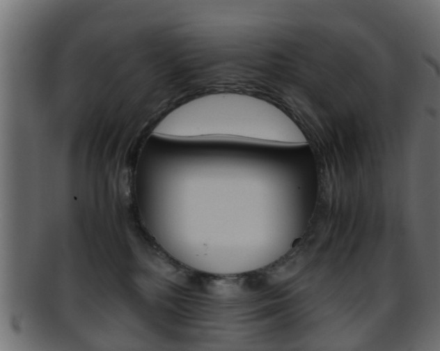 X0000095690232200801081045