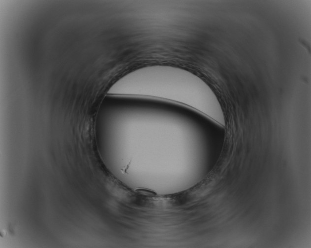 X0000095690233200801081045