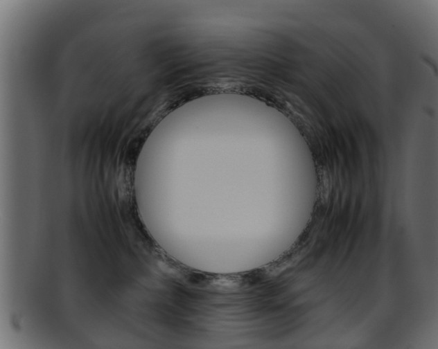 X0000095690236200801081045
