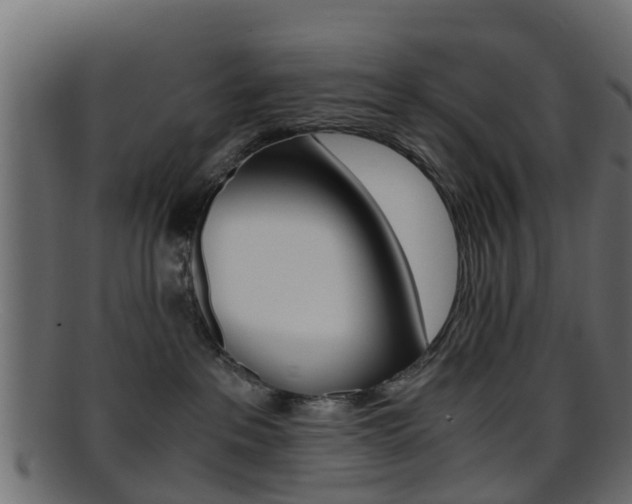 X0000095690237200801081045