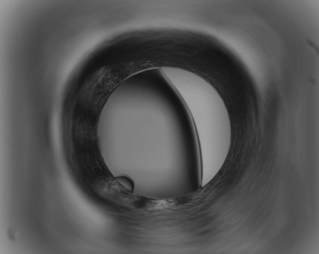 X0000095690239200801081045