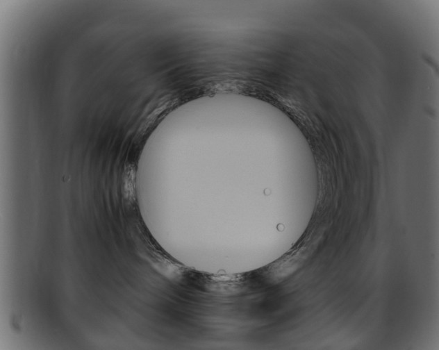 X0000095690240200801081045