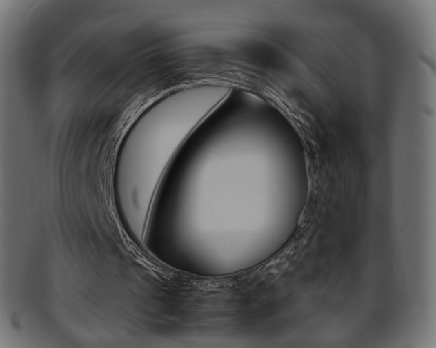 X0000095690241200801081045