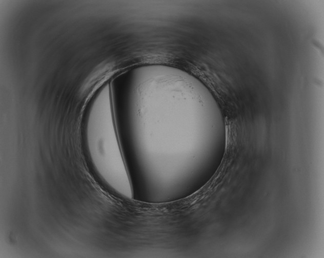X0000095690243200801081045