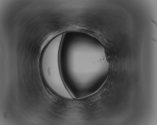 X0000095690244200801081045