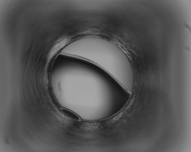 X0000095690245200801081045