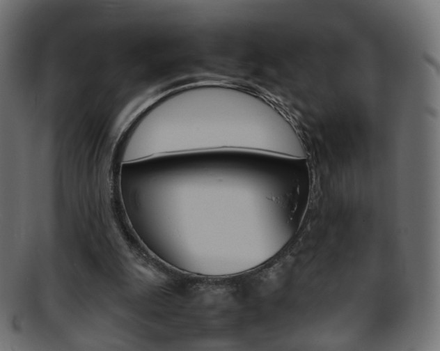 X0000095690247200801081045