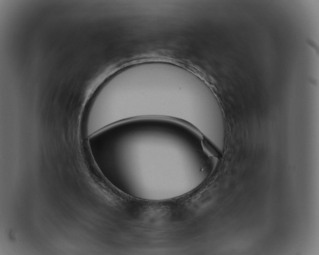 X0000095690248200801081045