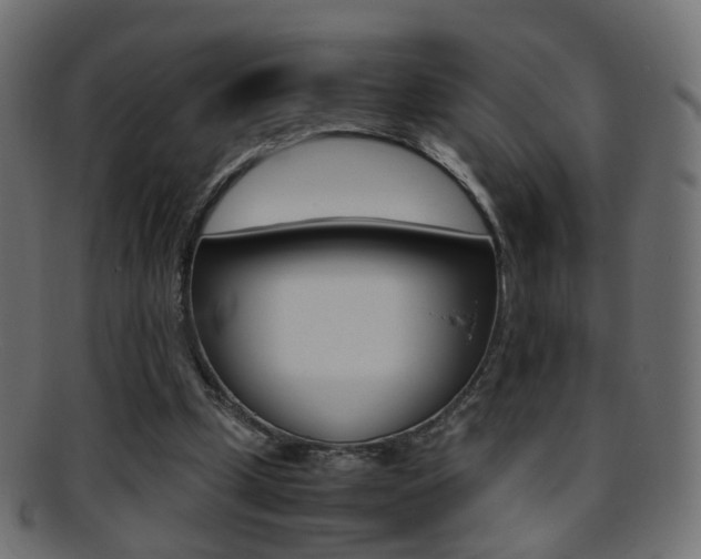 X0000095690249200801081045