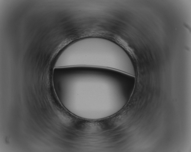 X0000095690250200801081045