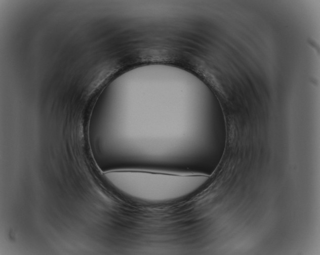 X0000095690251200801081045
