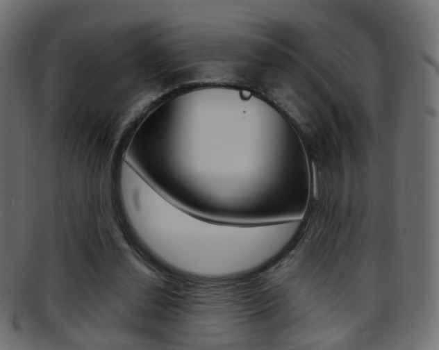 X0000095690252200801081045
