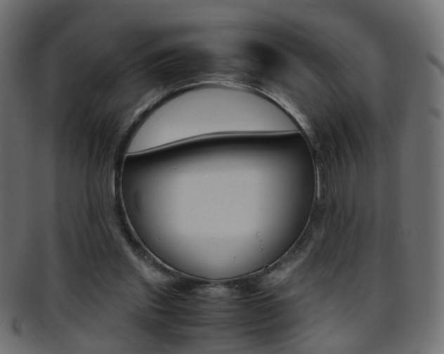 X0000095690253200801081045