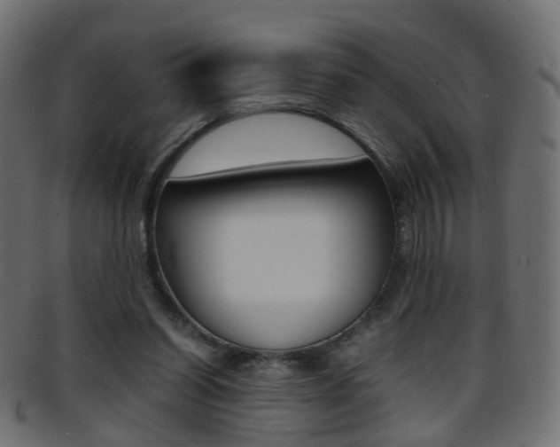 X0000095690254200801081045