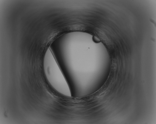 X0000095690255200801081045