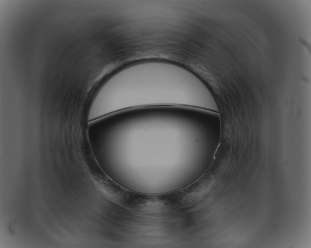 X0000095690256200801081045