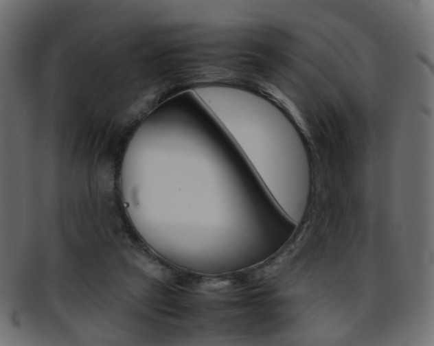 X0000095690257200801081045