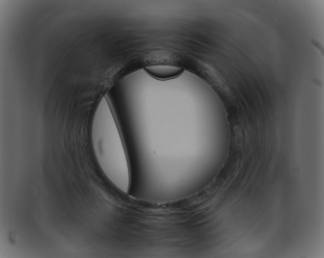X0000095690259200801081045
