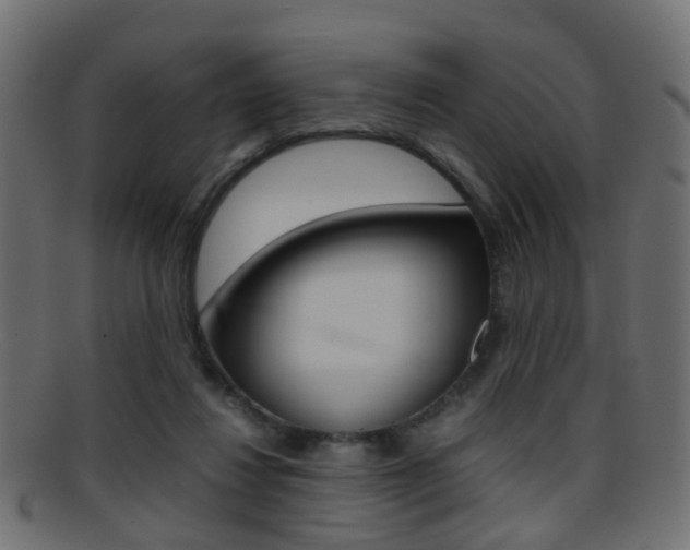 X0000095690260200801081045