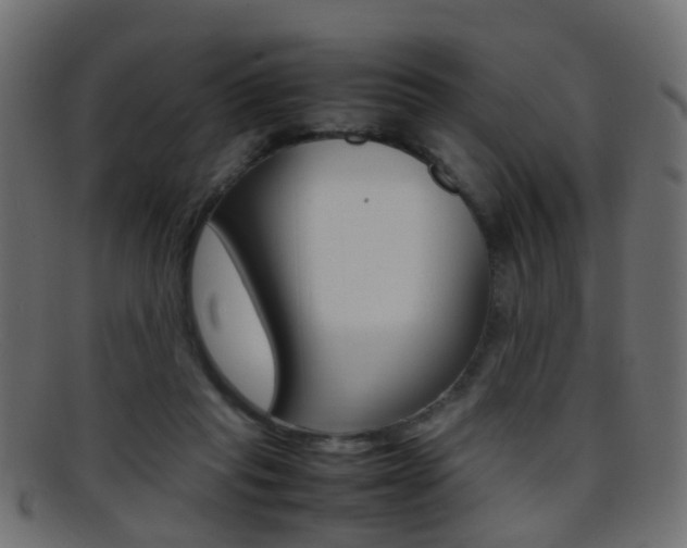 X0000095690261200801081045