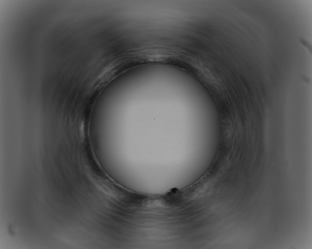 X0000095690262200801081045