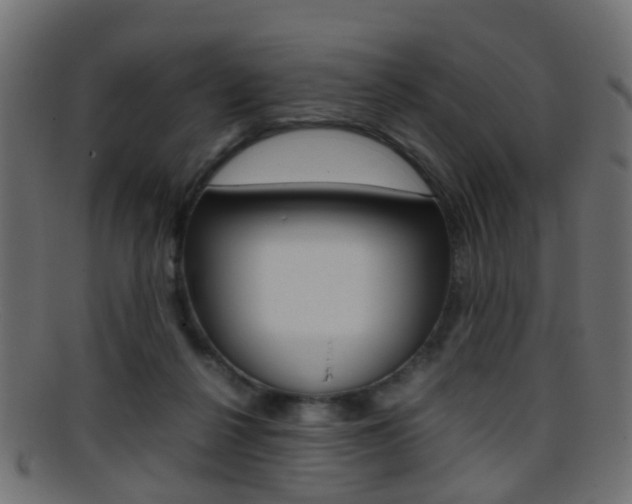 X0000095690264200801081045