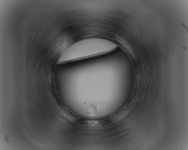 X0000095690265200801081045
