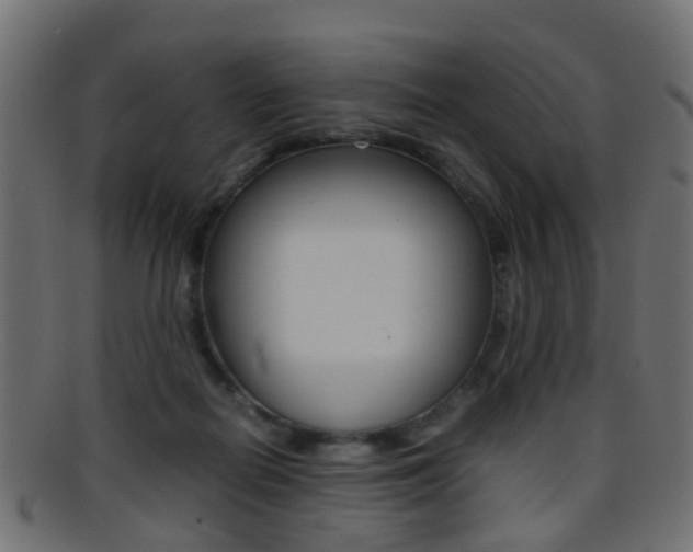 X0000095690266200801081045