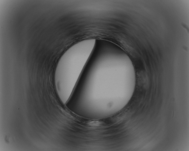 X0000095690269200801081045