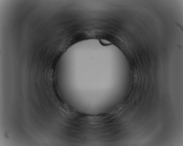 X0000095690275200801081045