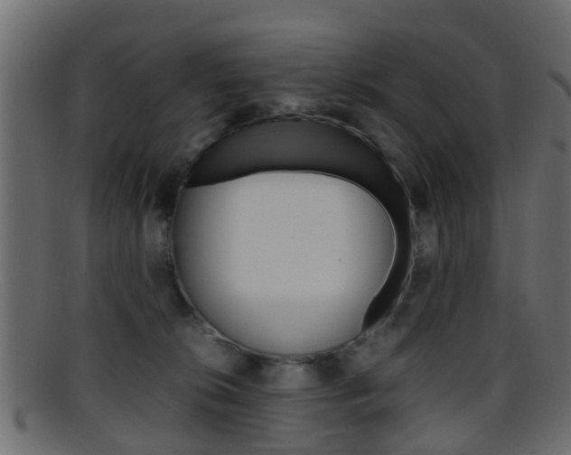 X0000095690276200801081045