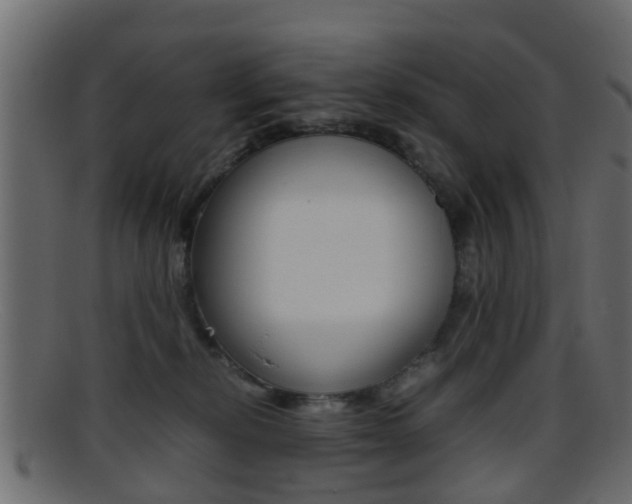 X0000095690278200801081045
