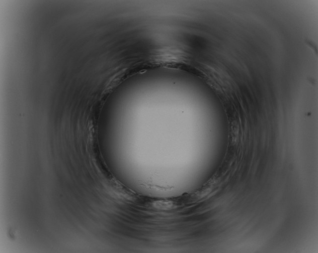 X0000095690279200801081045
