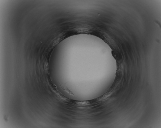 X0000095690281200801081045