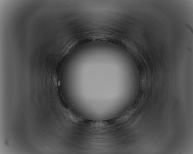 X0000095690282200801081045