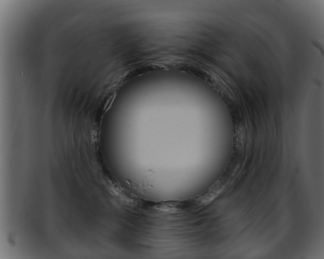 X0000095690284200801081045
