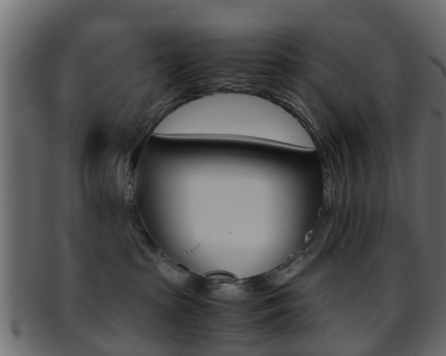 X0000095690285200801081045